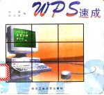 WPS速成