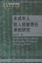 未成年人致人损害责任承担研究