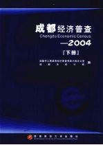 成都经济普查  2004  下