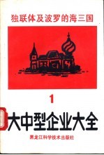 独联体及波罗的海三国大中型企业大全  第1分册  黑色有色金属