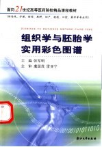 组织学与胚胎学实用彩色图谱