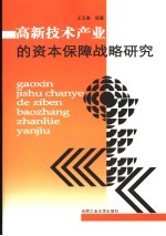 高新技术产业的资本保障战略研究