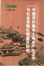 中国农村集体土地资产化运作与社会保障机制建设研究