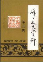 峰峰文史资料  第五辑  峰峰名镇名村·古建·名胜专辑