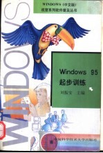 Windows 95 起步训练