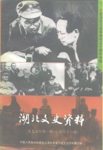 湖北文史资料  1995年  第1辑  总第46辑  纪念抗日战争胜利五十周年史料专辑