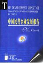 中国民营企业发展报告  No.1  2004