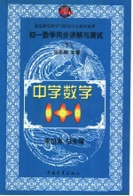 中学数学1+1  初一数学同步讲解与测试  下