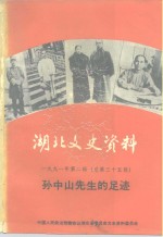 湖北文史资料  总第35辑  孙中山先生的足迹