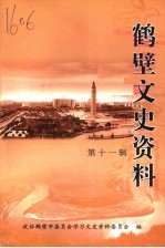 鹤壁文史资料  第11辑