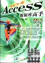 Access数据库高手