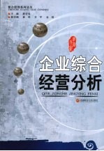 企业综合经营分析