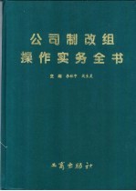 公司制改组操作实务全书  如何建立现代企业制度