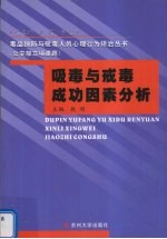 吸毒与戒毒成功因素分析  共5册