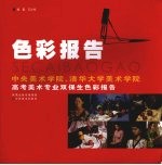 色彩报告  中央美术学院、清华大学美术学院高考美术专业双保生色彩报告