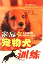 家庭宠物犬训练