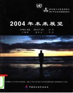 2004年未来展望