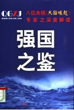 强国之鉴：八位央视《大国崛起》专家之深度解读