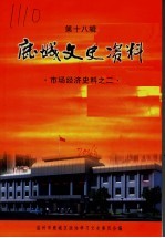 鹿城文史资料·第18辑  市场经济史料之二