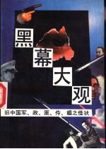 黑幕大观  旧中国军、政、匪、伶、娼之怪状