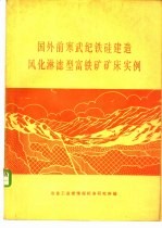 国外前寒武纪铁硅建造风化淋滤型富铁矿矿床实例