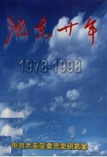 沈东二十年  1978-1998