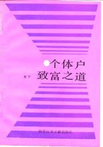 个体户致富之道