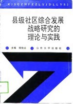 县级社区综合发展战略研究的理论与实践