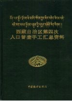 西藏自治区第四次人口普查手工汇总资料