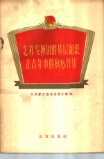 怎样发挥团的基层组织在青年中的核心作用  团支部和团小组工作经验介绍