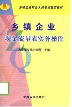 乡镇企业现金流量表实务操作