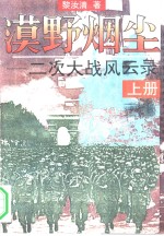 漠野烟尘二次大战风云录上册