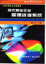 现代商业企业管理卷  现代商业企业管理咨询系统