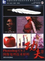 Photoshop CS 2图像处理技术精粹