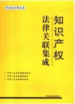 知识产权法律关联集成