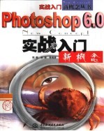 PhotoShop 6.0实战入门新概念