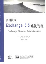 实用技术：Exchange5.5系统管理