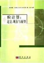 粒计算：过去、现在与展望