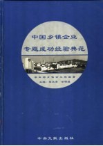 中国乡镇企业专题成功经验典范  上