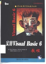 实用Visual Basic 6教程