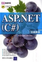 ASP.NET C#实践教程