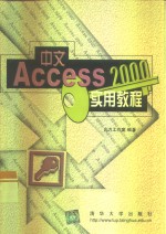 中文Access 2000实用教程