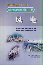 电力技术标准汇编  水电水利与新能源部分  第13册  风电