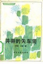 并蒂的矢车菊