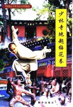 少林寺地趟梅花拳