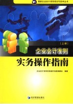 企业会计准则实务操作指南  上