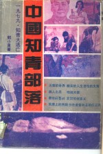 中国知青部落  1979·知青大逃亡