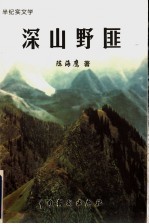 深山野匪  半纪实文学