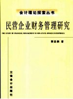 民营企业财务管理研究