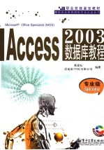 Access 2003数据库教程